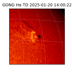 gong - 2025-01-20T14:00:22