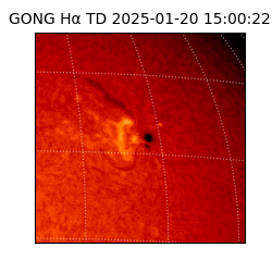 gong - 2025-01-20T15:00:22