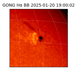 gong - 2025-01-20T19:00:02