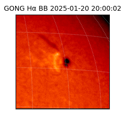 gong - 2025-01-20T20:00:02