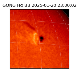 gong - 2025-01-20T23:00:02