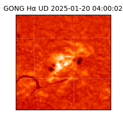 gong - 2025-01-20T04:00:02