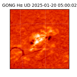 gong - 2025-01-20T05:00:02