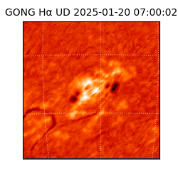 gong - 2025-01-20T07:00:02