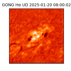 gong - 2025-01-20T08:00:02
