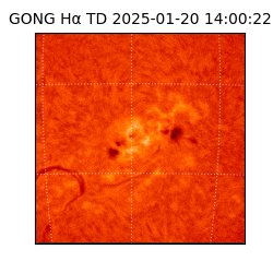 gong - 2025-01-20T14:00:22