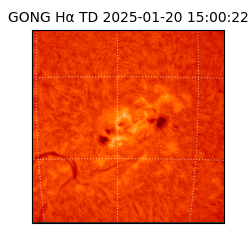 gong - 2025-01-20T15:00:22