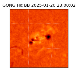 gong - 2025-01-20T23:00:02