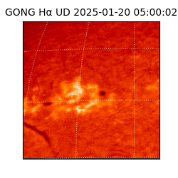 gong - 2025-01-20T05:00:02