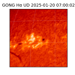 gong - 2025-01-20T07:00:02