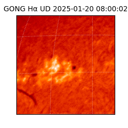 gong - 2025-01-20T08:00:02