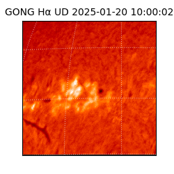 gong - 2025-01-20T10:00:02