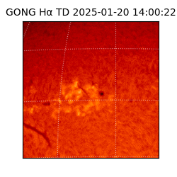 gong - 2025-01-20T14:00:22