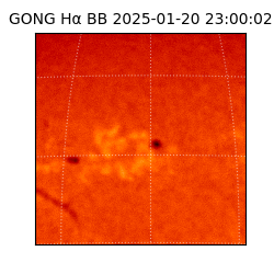 gong - 2025-01-20T23:00:02