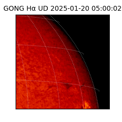 gong - 2025-01-20T05:00:02