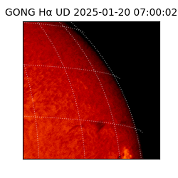 gong - 2025-01-20T07:00:02