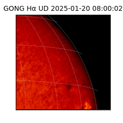 gong - 2025-01-20T08:00:02