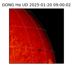 gong - 2025-01-20T09:00:02