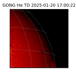 gong - 2025-01-20T17:00:22
