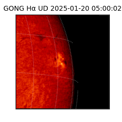 gong - 2025-01-20T05:00:02