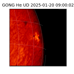 gong - 2025-01-20T09:00:02