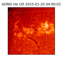 gong - 2025-01-20T04:00:02