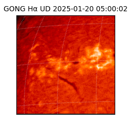 gong - 2025-01-20T05:00:02