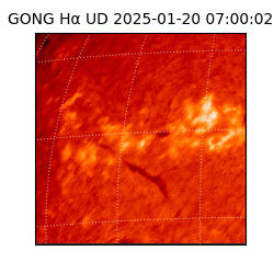 gong - 2025-01-20T07:00:02