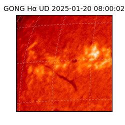 gong - 2025-01-20T08:00:02