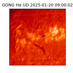 gong - 2025-01-20T09:00:02