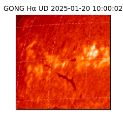 gong - 2025-01-20T10:00:02