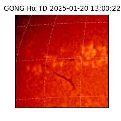 gong - 2025-01-20T13:00:22