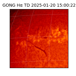 gong - 2025-01-20T15:00:22