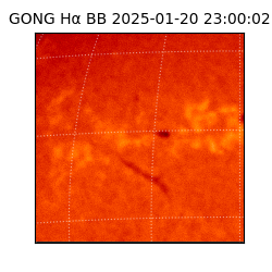 gong - 2025-01-20T23:00:02