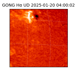 gong - 2025-01-20T04:00:02