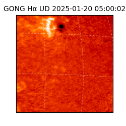 gong - 2025-01-20T05:00:02