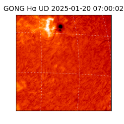 gong - 2025-01-20T07:00:02