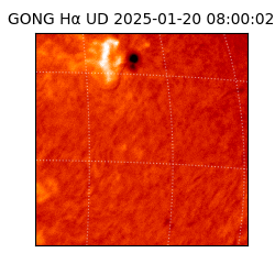 gong - 2025-01-20T08:00:02