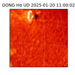 gong - 2025-01-20T11:00:02