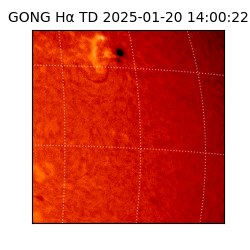 gong - 2025-01-20T14:00:22