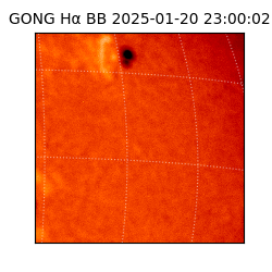 gong - 2025-01-20T23:00:02