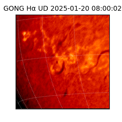 gong - 2025-01-20T08:00:02