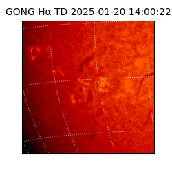 gong - 2025-01-20T14:00:22