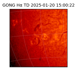 gong - 2025-01-20T15:00:22