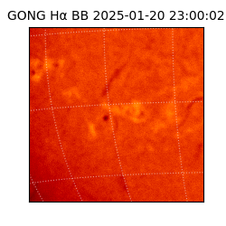 gong - 2025-01-20T23:00:02