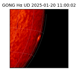 gong - 2025-01-20T11:00:02