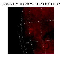 gong - 2025-01-20T03:11:02