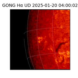 gong - 2025-01-20T04:00:02
