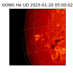 gong - 2025-01-20T05:00:02