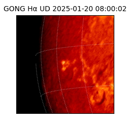 gong - 2025-01-20T08:00:02